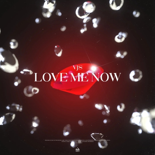 VJS - Love Me Now [TIUM579]